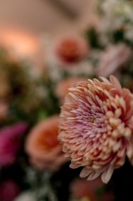 PJ & Rachel's Granby Ranch Wedding