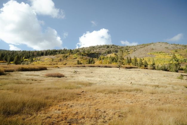 Kalani Photo fall engagement session rocky mountain bride1