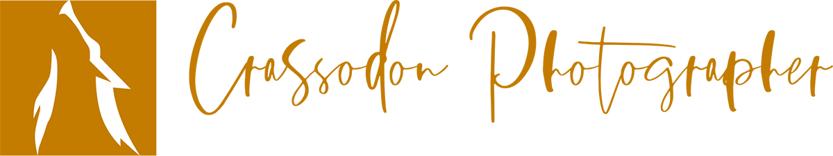 Crassodon Photographer <span> | British Columbia Wedding Photographer </span>