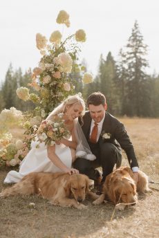 Genevieve + Jake