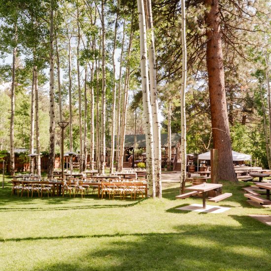 Aspen Grove