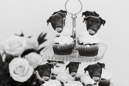 Chateau des Fleurs fall wedding Idaho rocky mountain bride Yasinski Photography17