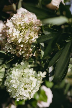 University of Alberta Botanic Gardens winter wedding The Camera Crew Co rocky mountain bride17