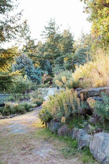 Sadie & Camil / Galiano Island