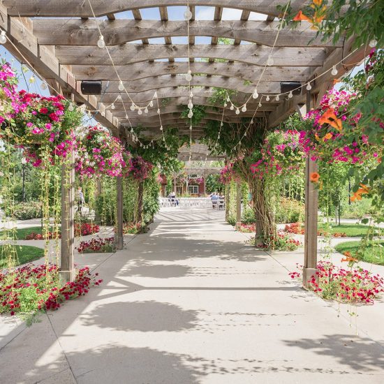 Brookeside Gardens by Wedgewood