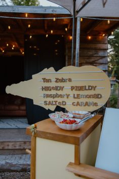 Howdy Pictures summer wedding british columbia rocky mountain bride95