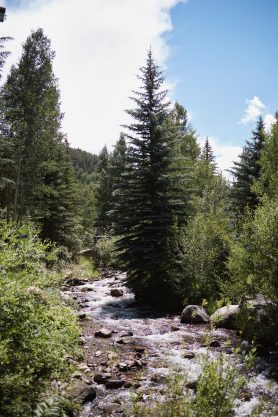 Spruce Saddle Lodge summer wedding Gemini Event Planning rocky mountain bride10