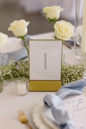 The Wedding of Sidney & Blake Hemeyer