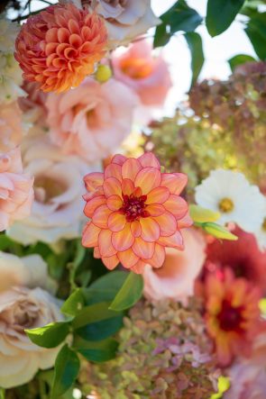 Fox Fields summer wedding Entenmann Photography rocky mountain bride32