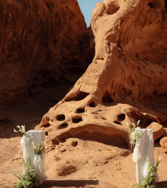 Stunning Modern Red Rock Wedding in Nevada