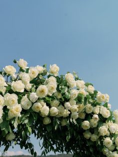Jacqueline & Michael Meurer