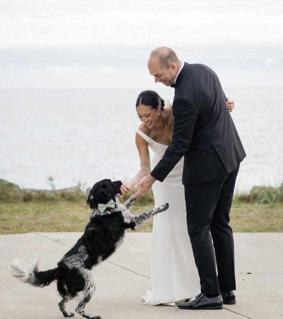 Beautiful and Sharp Tented Wedding in British Columbia
