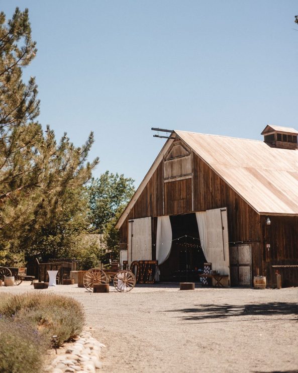 Jacobs Berry Farm summer wedding Davey Hibler rocky mountain bride24