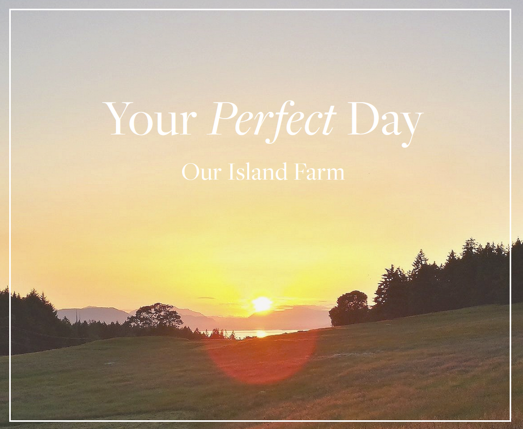 Stone Bridge Island Farm