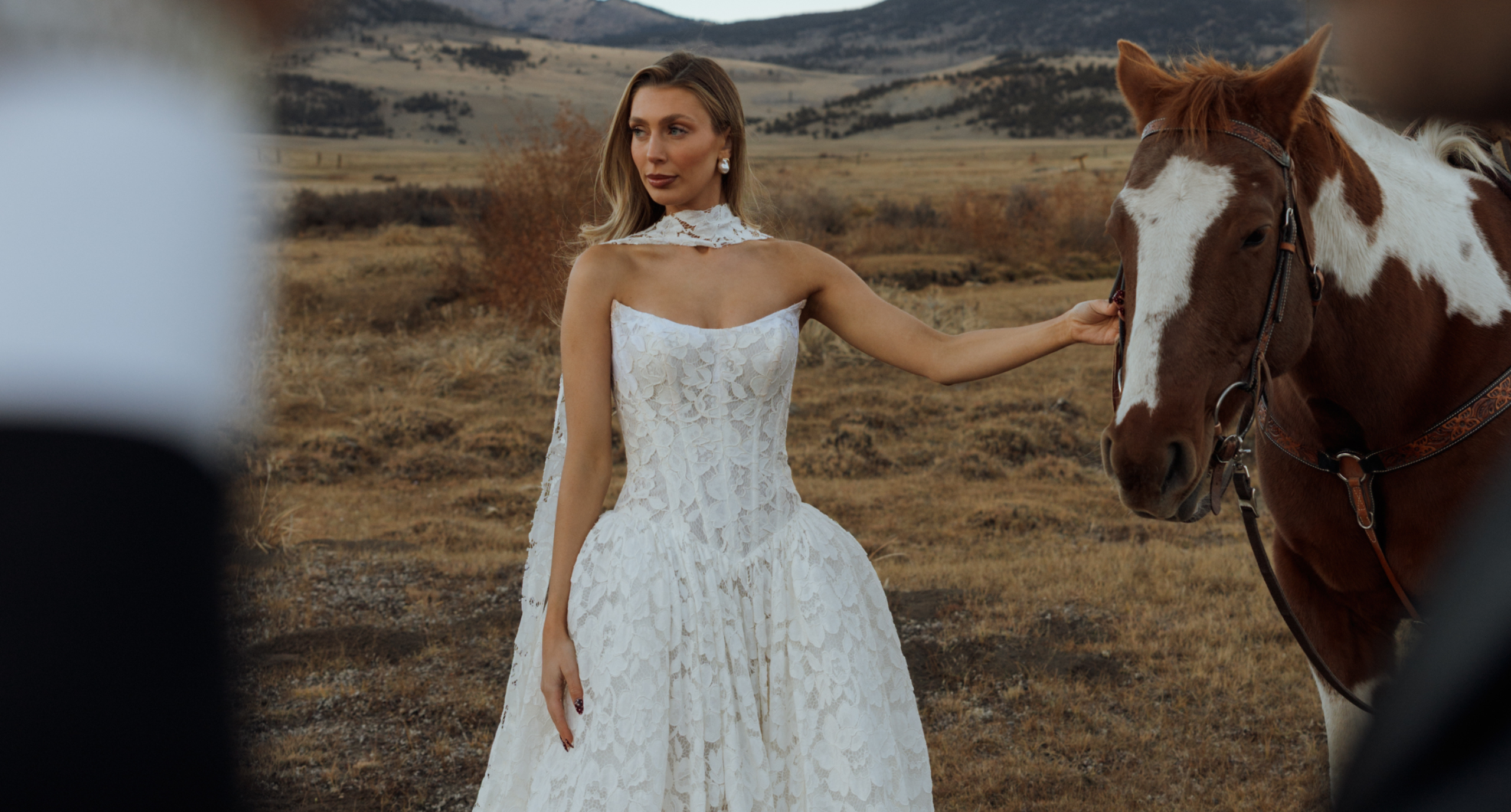 Basque Waist Wedding Dresses: 25 Gowns Every 2027 Bride Will Love
