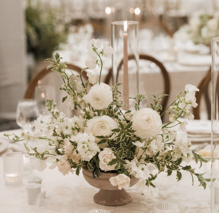 Timeless White Romance, a Wedding at Omni Scottsdale Resort