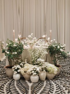 Mitchell and Chierstin Wedding