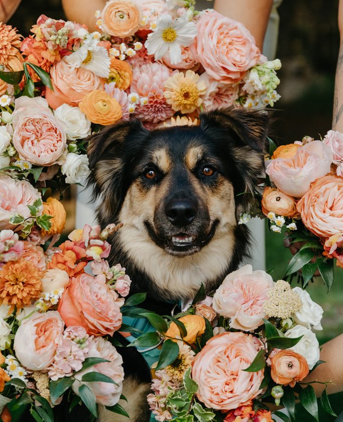 Citrus Bloom Wedding at Scandia Inn in McCall, Idaho