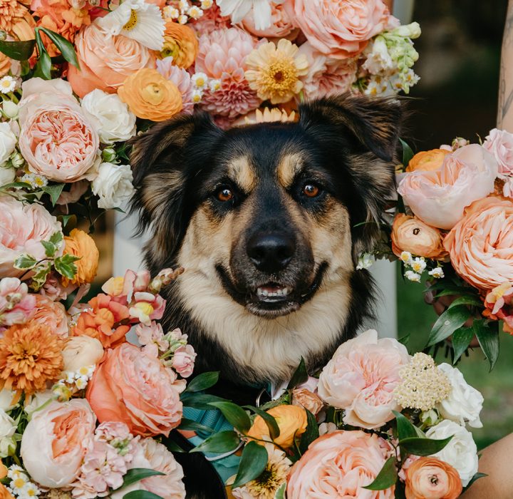 Citrus Bloom Wedding at Scandia Inn in McCall, Idaho